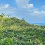 Top 10 Activities in Las Terrenas, Samaná, Dominican Republic