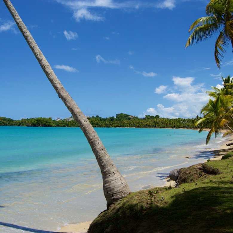 Why Investors Are Buying Property in Las Terrenas in 2026