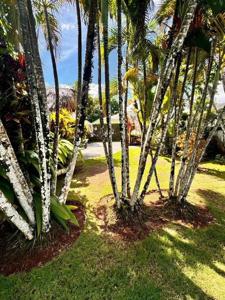 2967-Outside3 Beautiful 4-Bedroom Caribbean Villa in Playa Las Ballenas