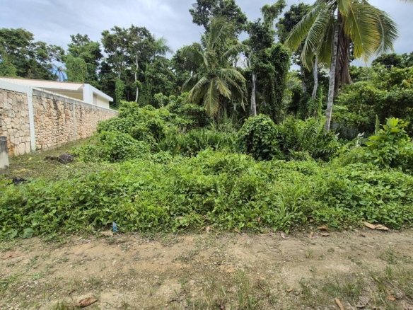 Exclusive Residential lot in Playa Las Ballenas