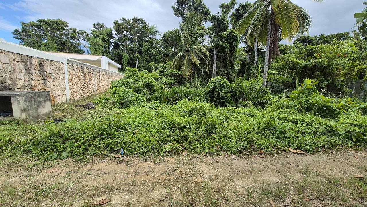 3292-Lot5 Exclusive Residential lot in Playa Las Ballenas