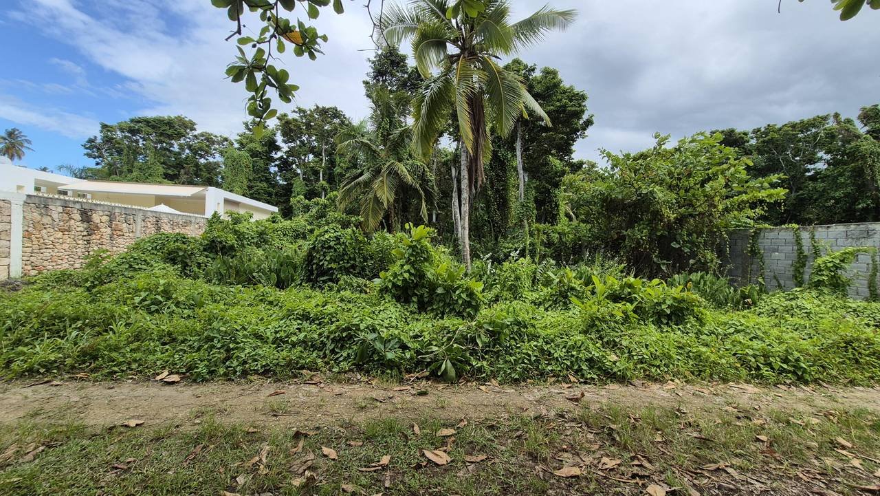 3292-Lot6 Exclusive Residential lot in Playa Las Ballenas