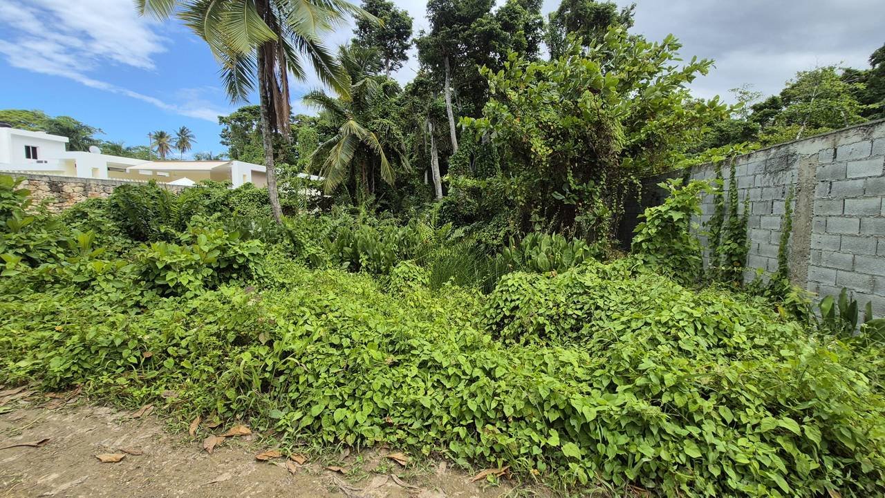 3292-Lot7 Exclusive Residential lot in Playa Las Ballenas