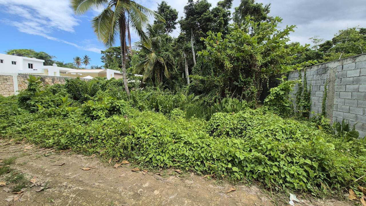 3292-Lot8 Exclusive Residential lot in Playa Las Ballenas