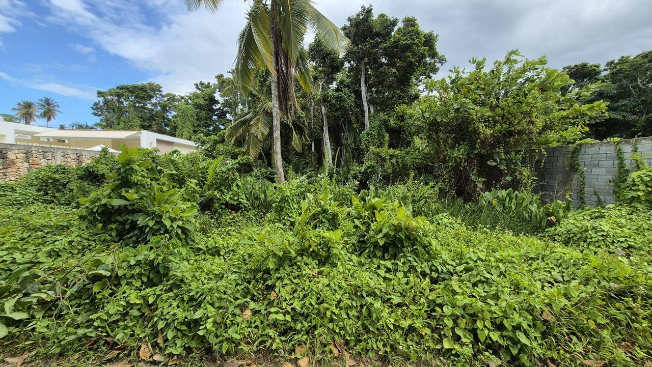 3292-Lot9 Exclusive Residential lot in Playa Las Ballenas