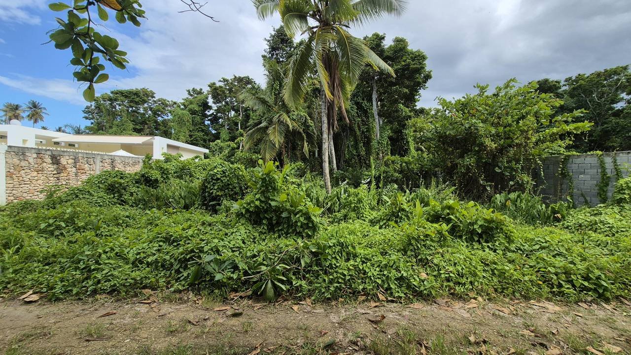 3292-Lots2 Exclusive Residential lot in Playa Las Ballenas