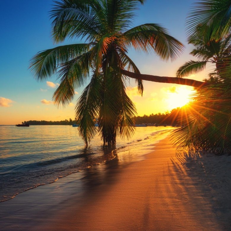 A Year in Las Terrenas:  What Every Property Owner Should Know