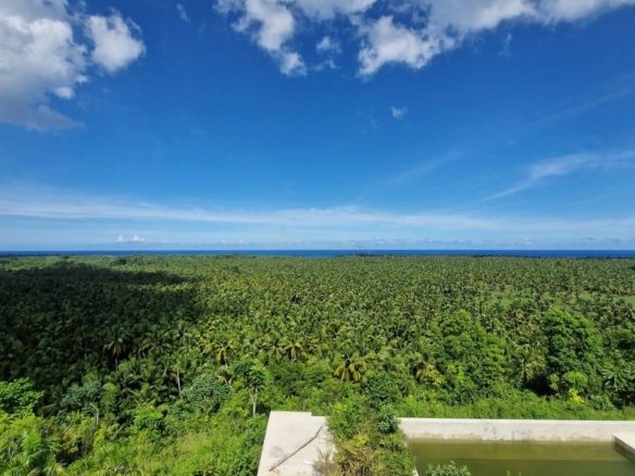 32,000m2 Hilltop Land with Ocean View in La Barbacoa