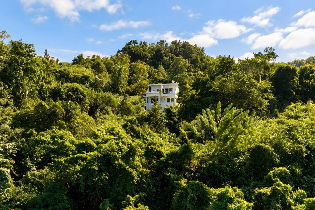 3402-Aerial1 Charming Villa Brisa De Coson – with Ocean View !